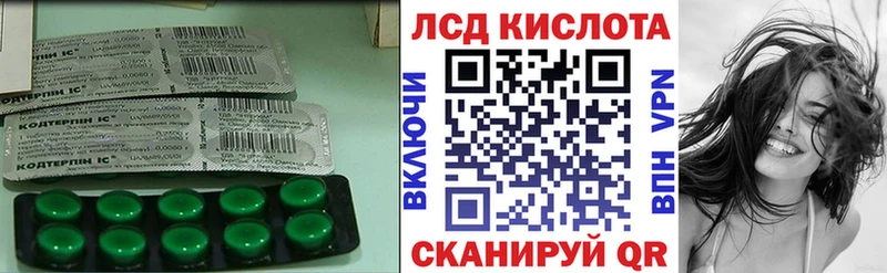 что такое   Шенкурск  Лсд 25 экстази ecstasy 