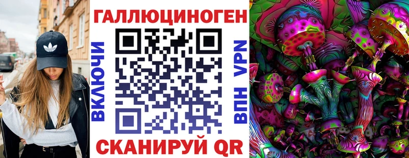 Псилоцибиновые грибы GOLDEN TEACHER  кракен ССЫЛКА  Шенкурск 